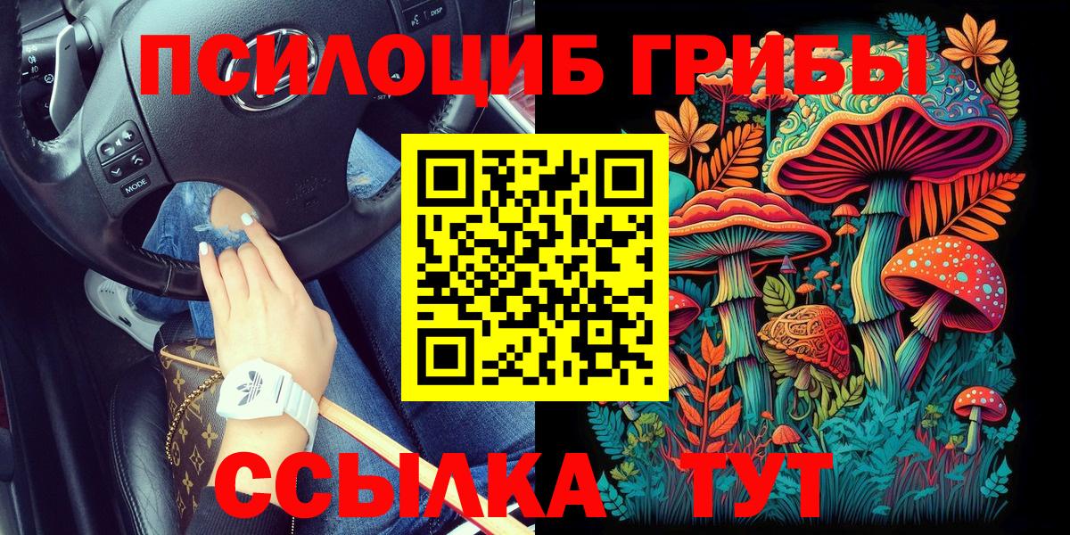 Псилоцибиновые грибы прущие грибы  Вход с VPN  Югорск  Псилоцибиновые грибы MAGIC MUSHROOMS 